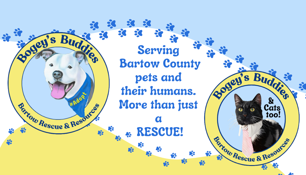 Bogey's Buddies - Bartow Rescue & Resources