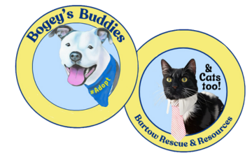 Bogey's Buddies - Bartow Rescue & Resources