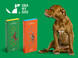 dna my dog