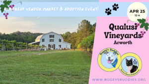 qualusi vendor market april