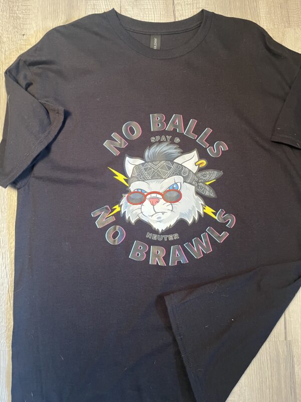 No Balls, No Brawls